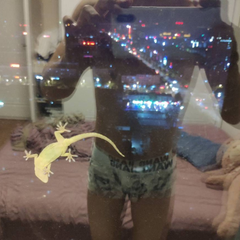 宗宗