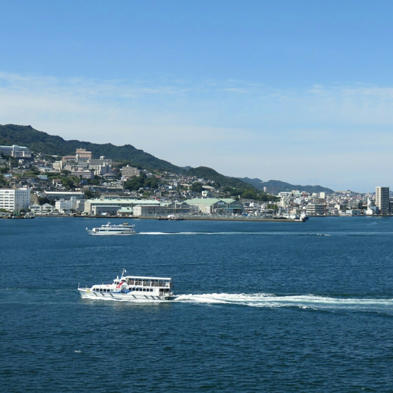 红树林