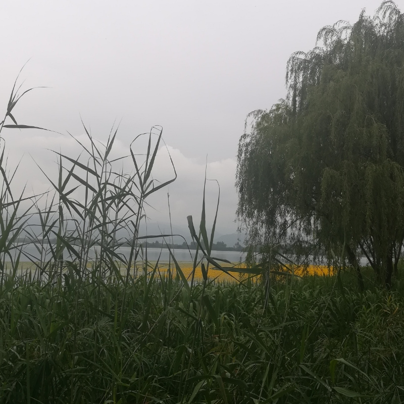一丝忆