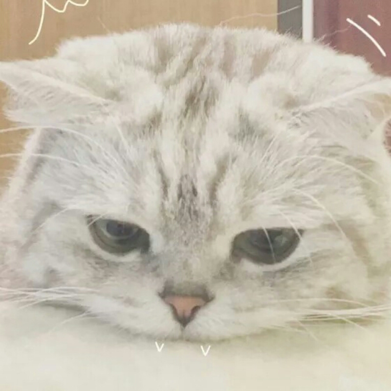 WM胡椒