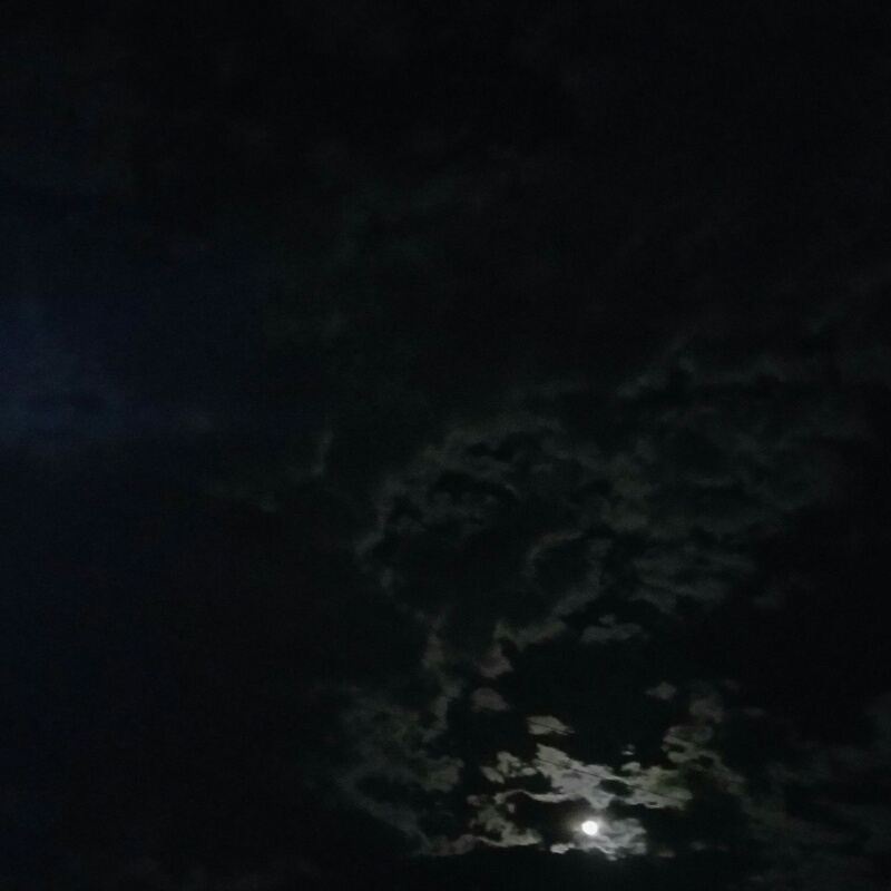 小夏