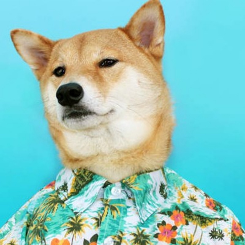 听风讲他的故事