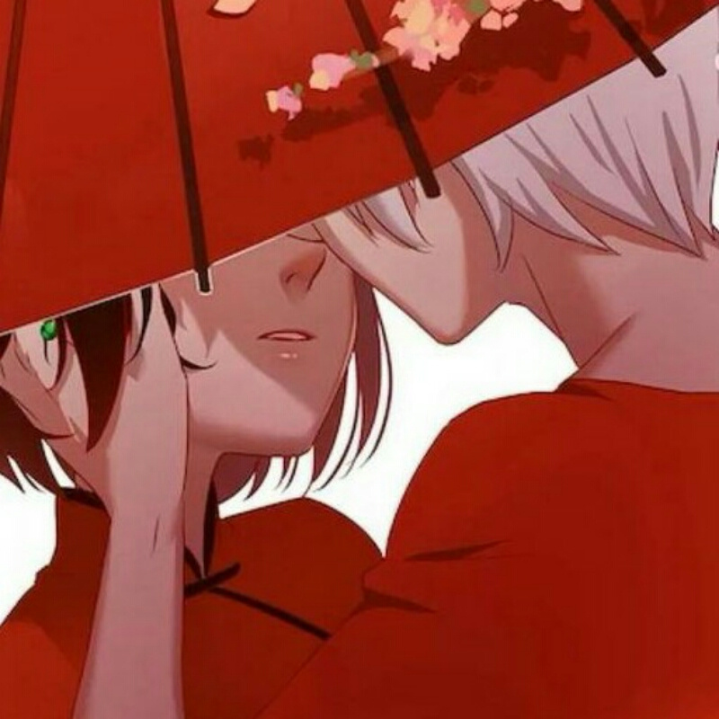 洱 浦