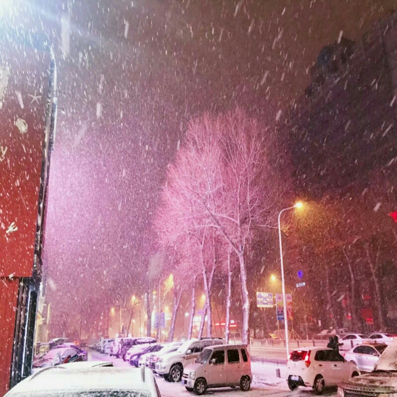 习风_