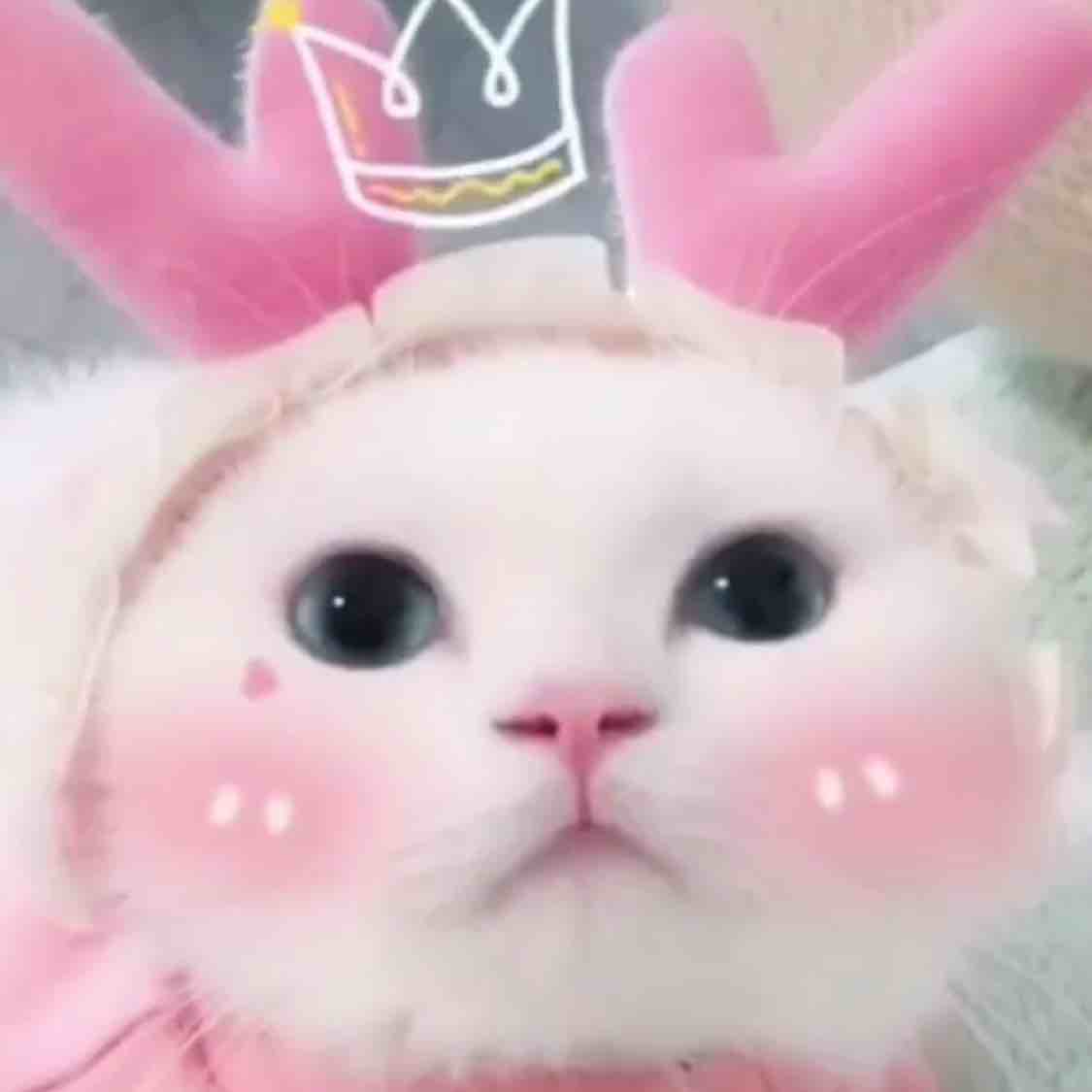 ~拖云带彩