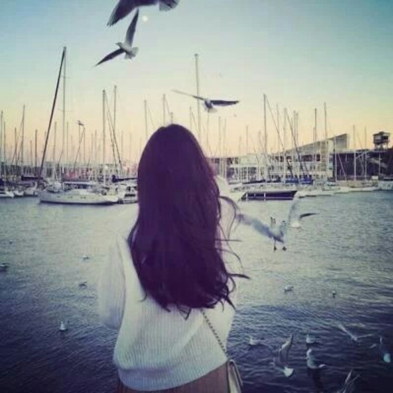 青菜