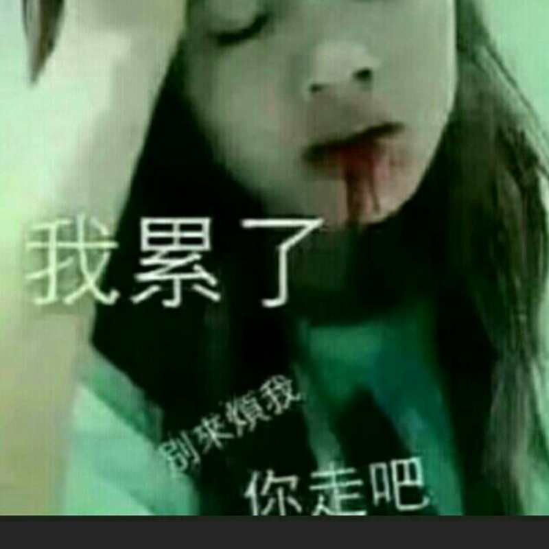 李绍绍