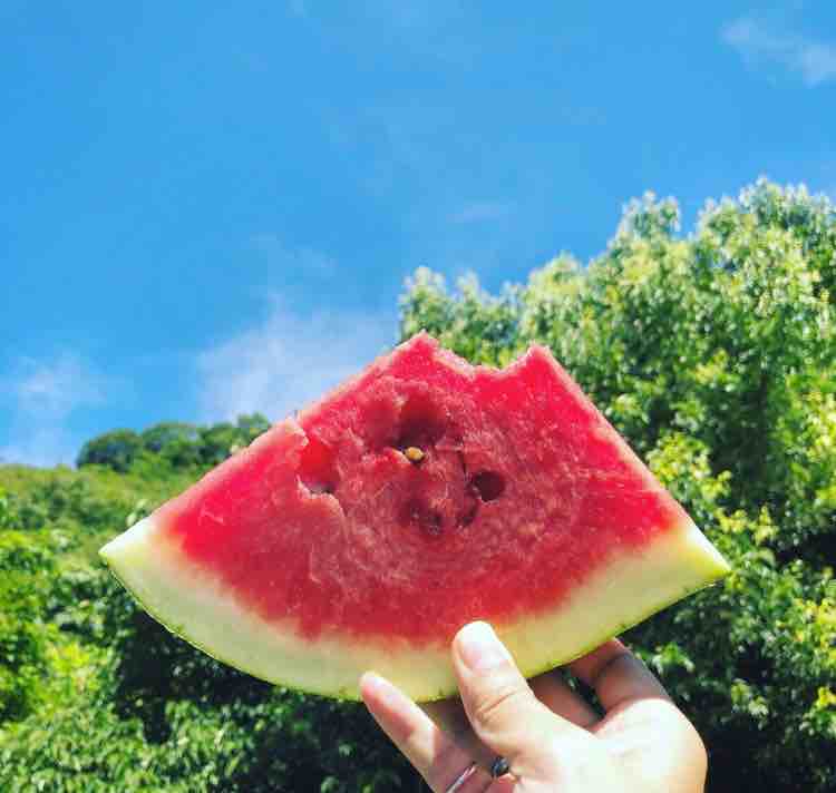 阿酷啦嘛塔塔
