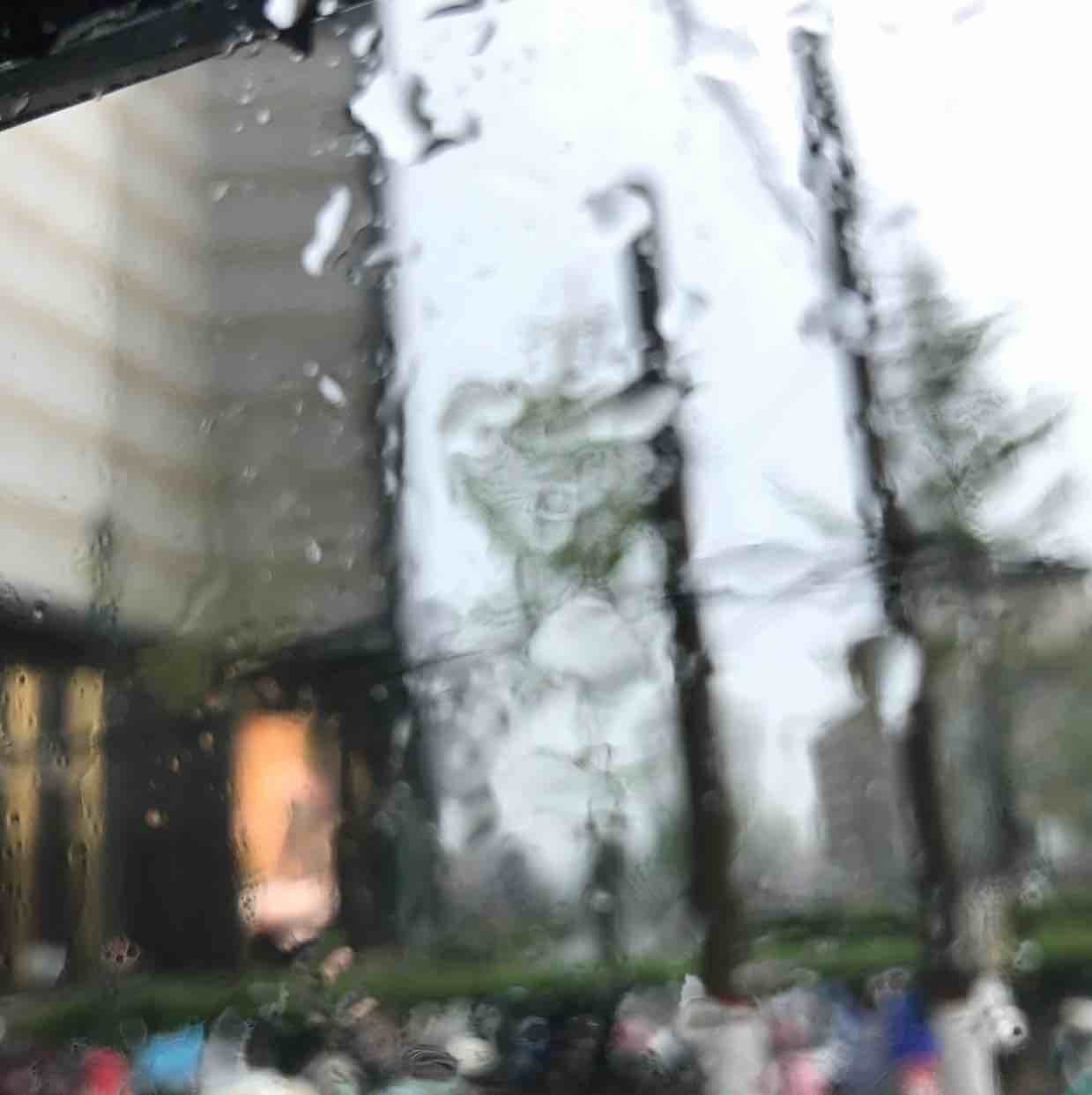 江上一叶