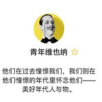 青年维也纳