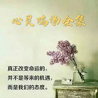 心灵鸡汤全集