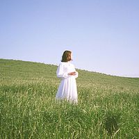 蜻蜓倾听—《左耳》