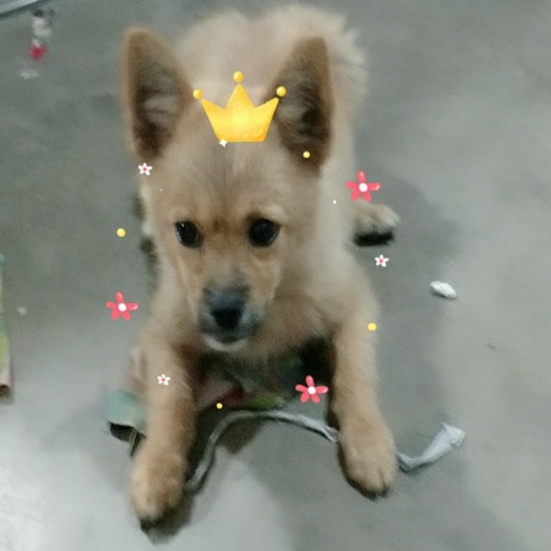 云汐伯沙