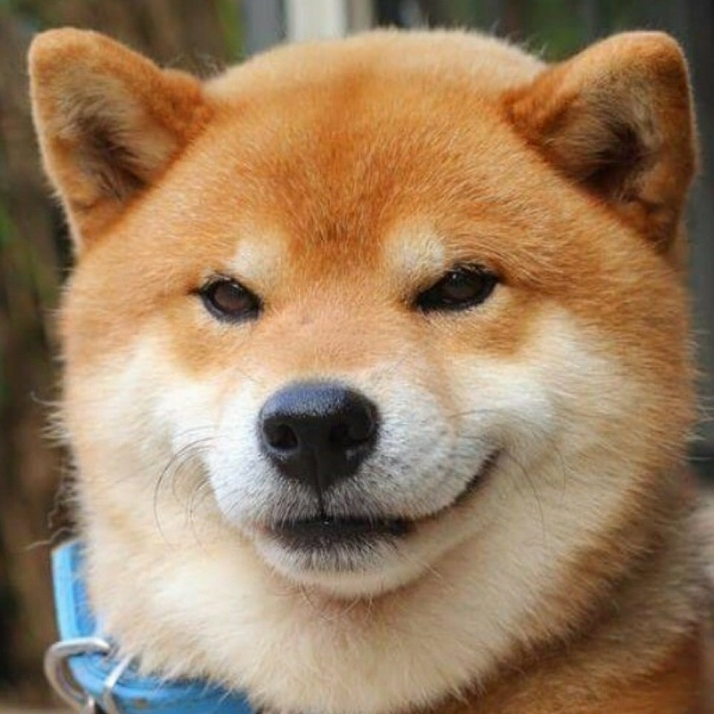 靝埊