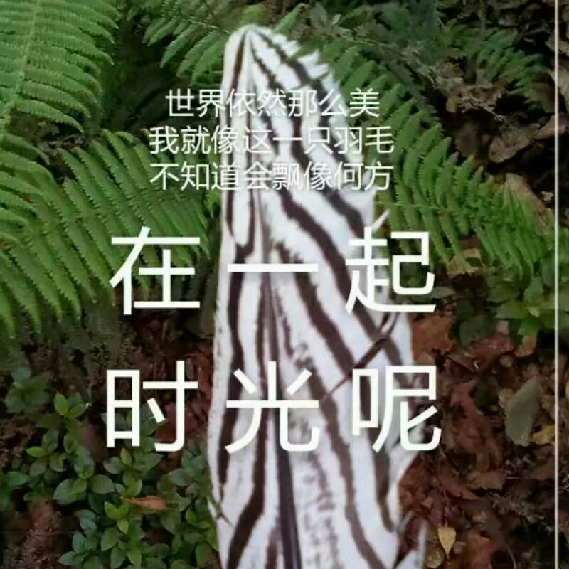 多年后的我.是谁？？