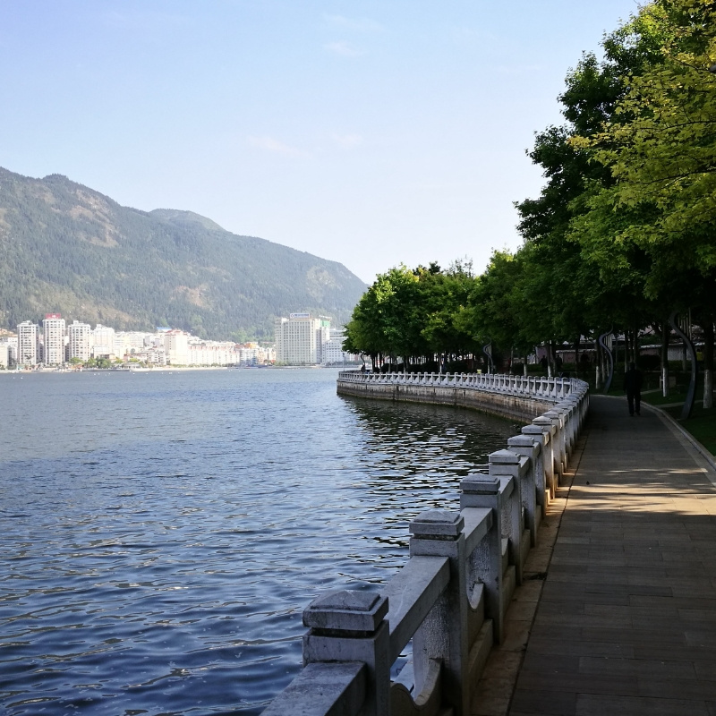 山城青竹