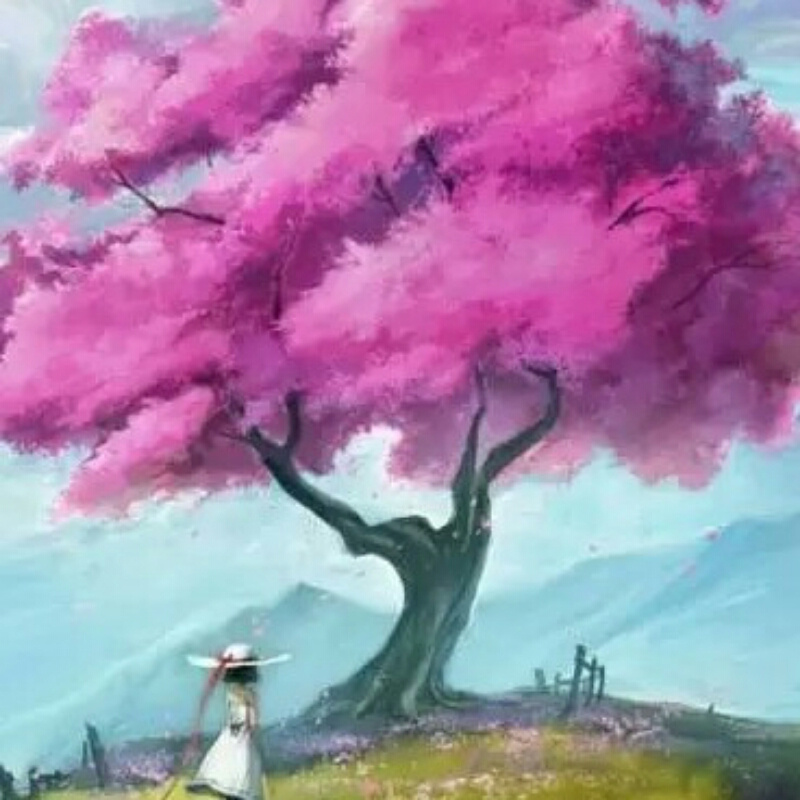 故乡的云