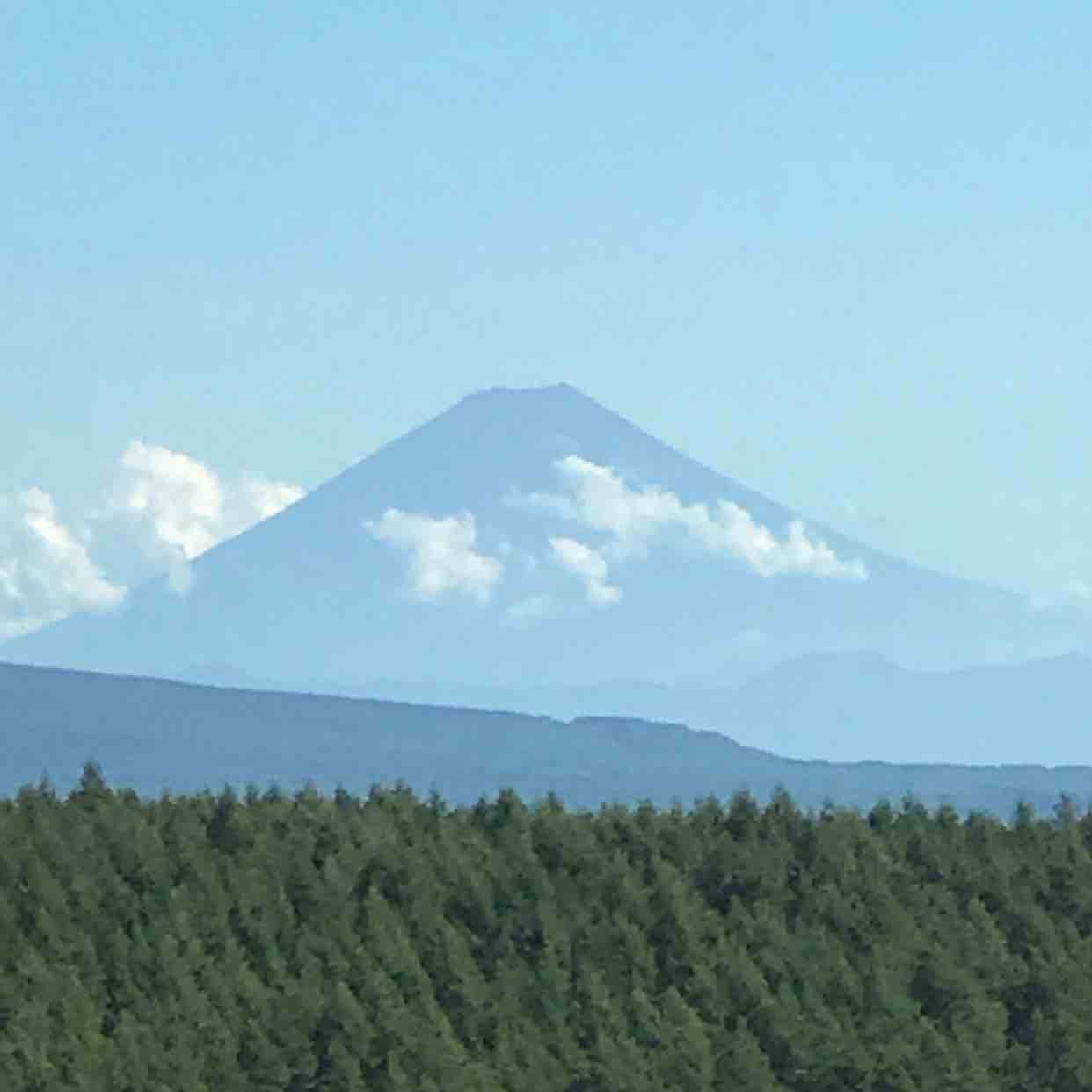 伴我闯
