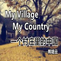 一个村庄里的中国