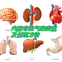 内脏有湿气的表现及调理方法