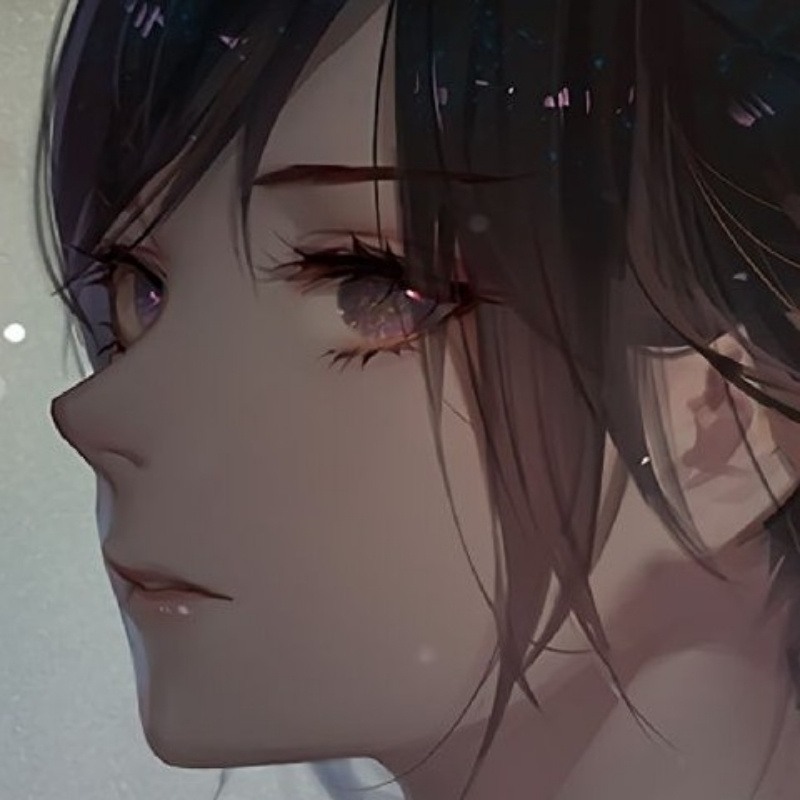 Shelter