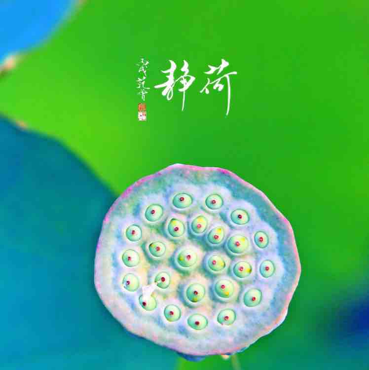 不忘初心