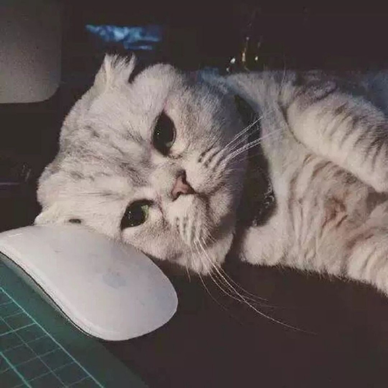 ?