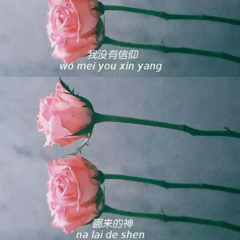 晓