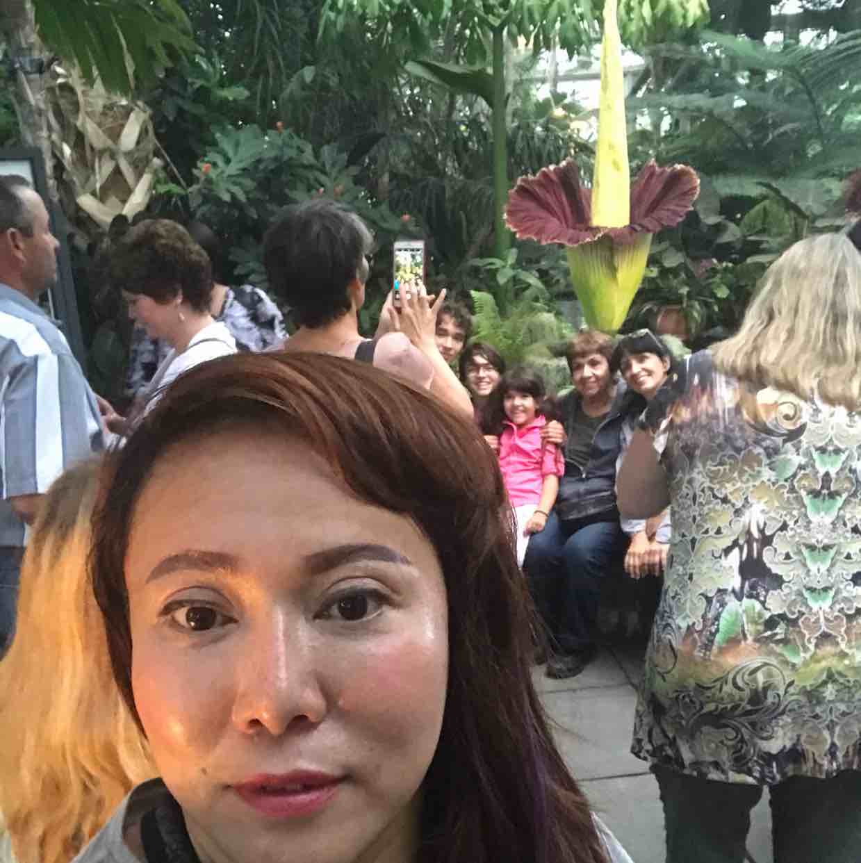 歌剧魅影2
