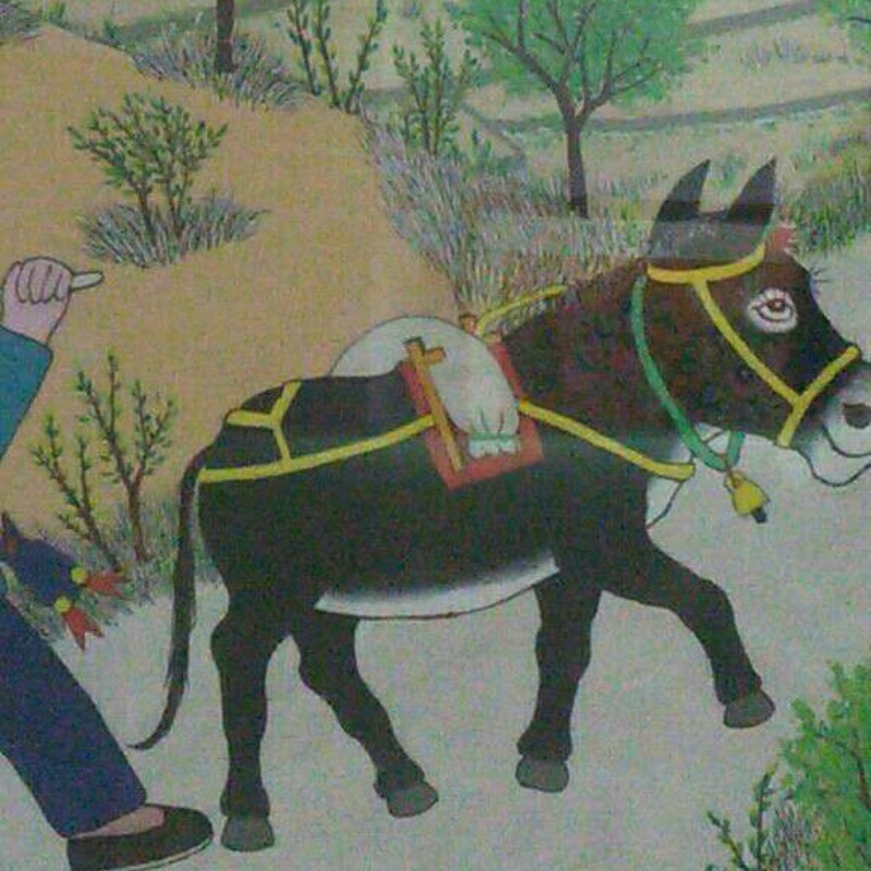 会唱歌的蒲公英