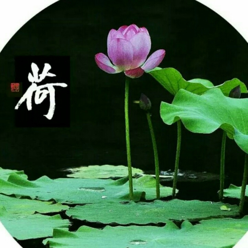 楚歌
