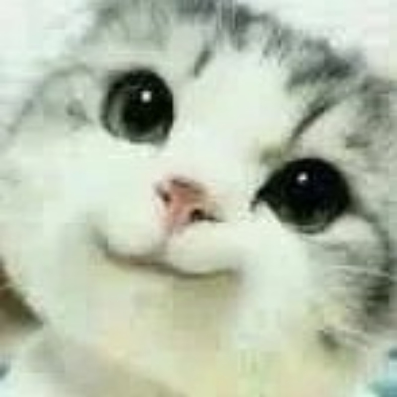 马灿灿