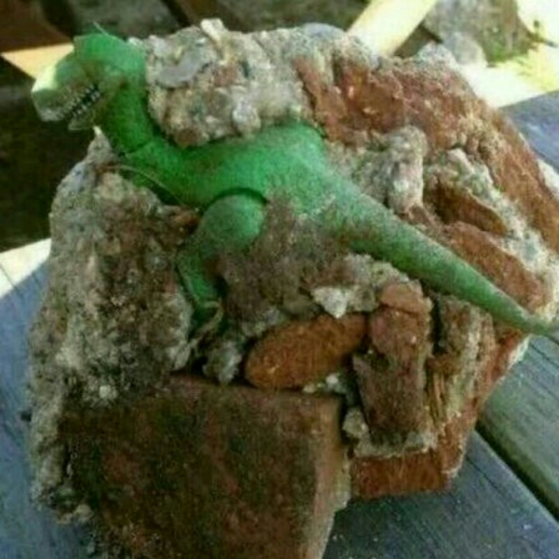 马伟周