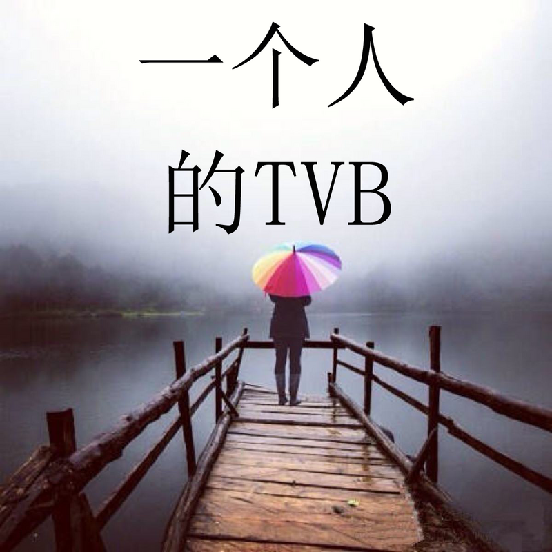 一个人的TVB