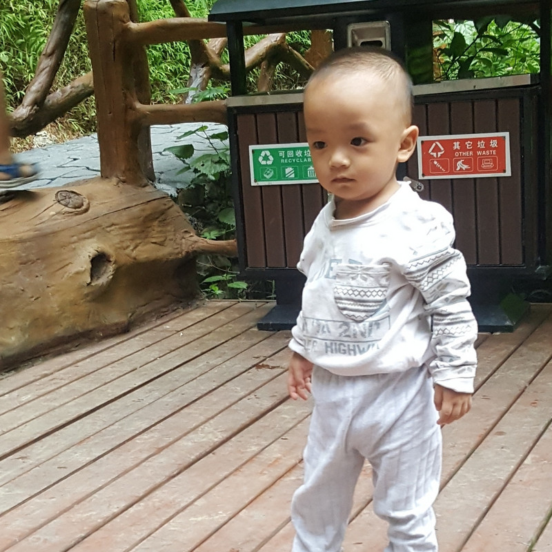 风里踩虹