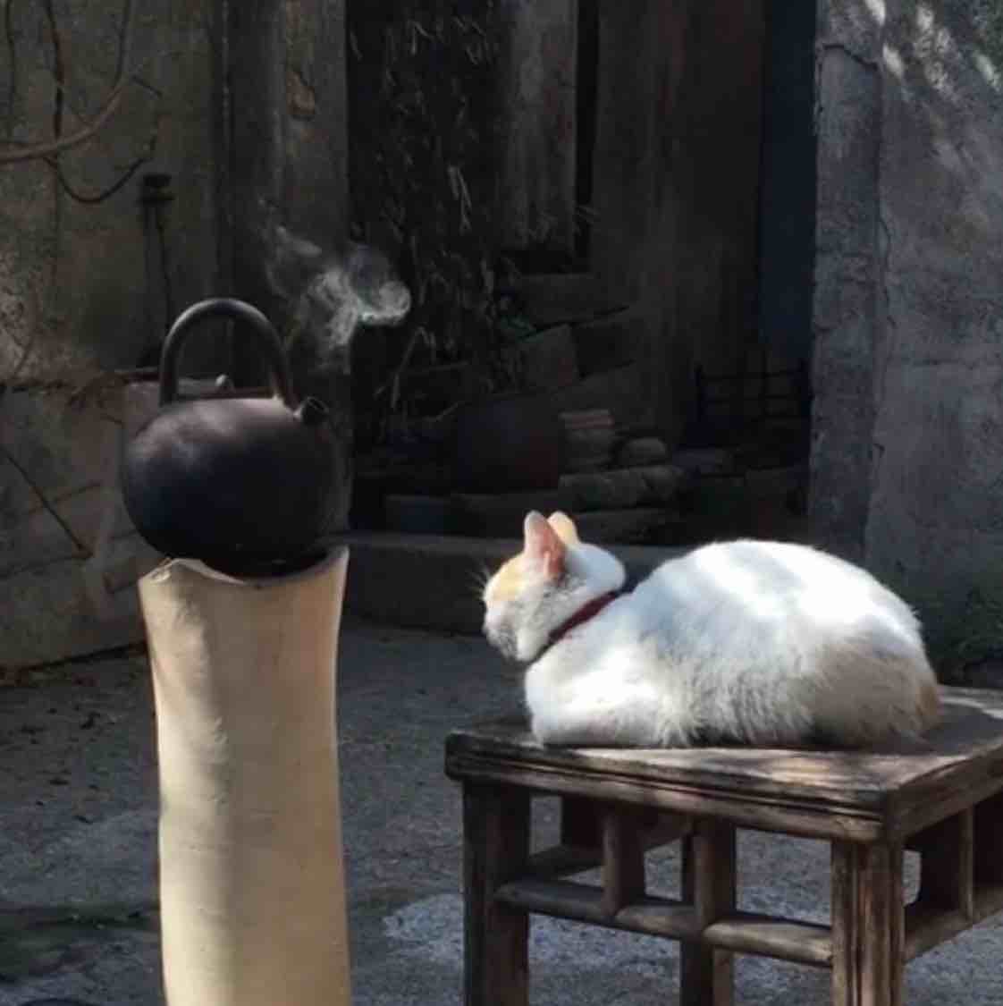 嘻嘻果