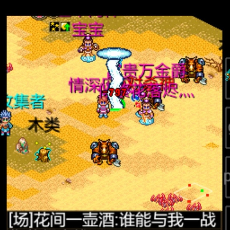我的图腾