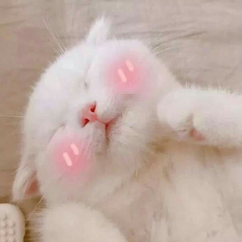 年糕不黏