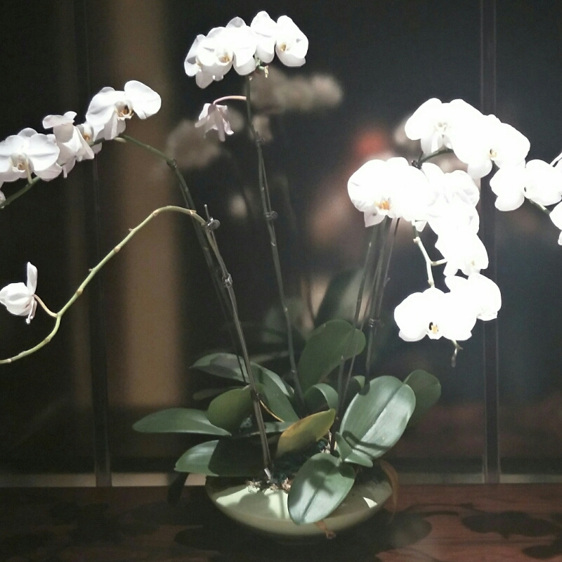 边听边玩