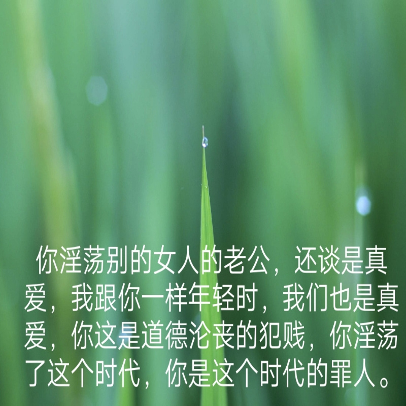 真的假的道