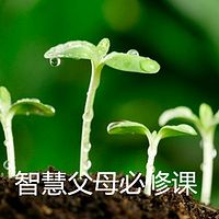 智慧父母必修课（第一季）