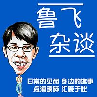 鲁飞杂谈