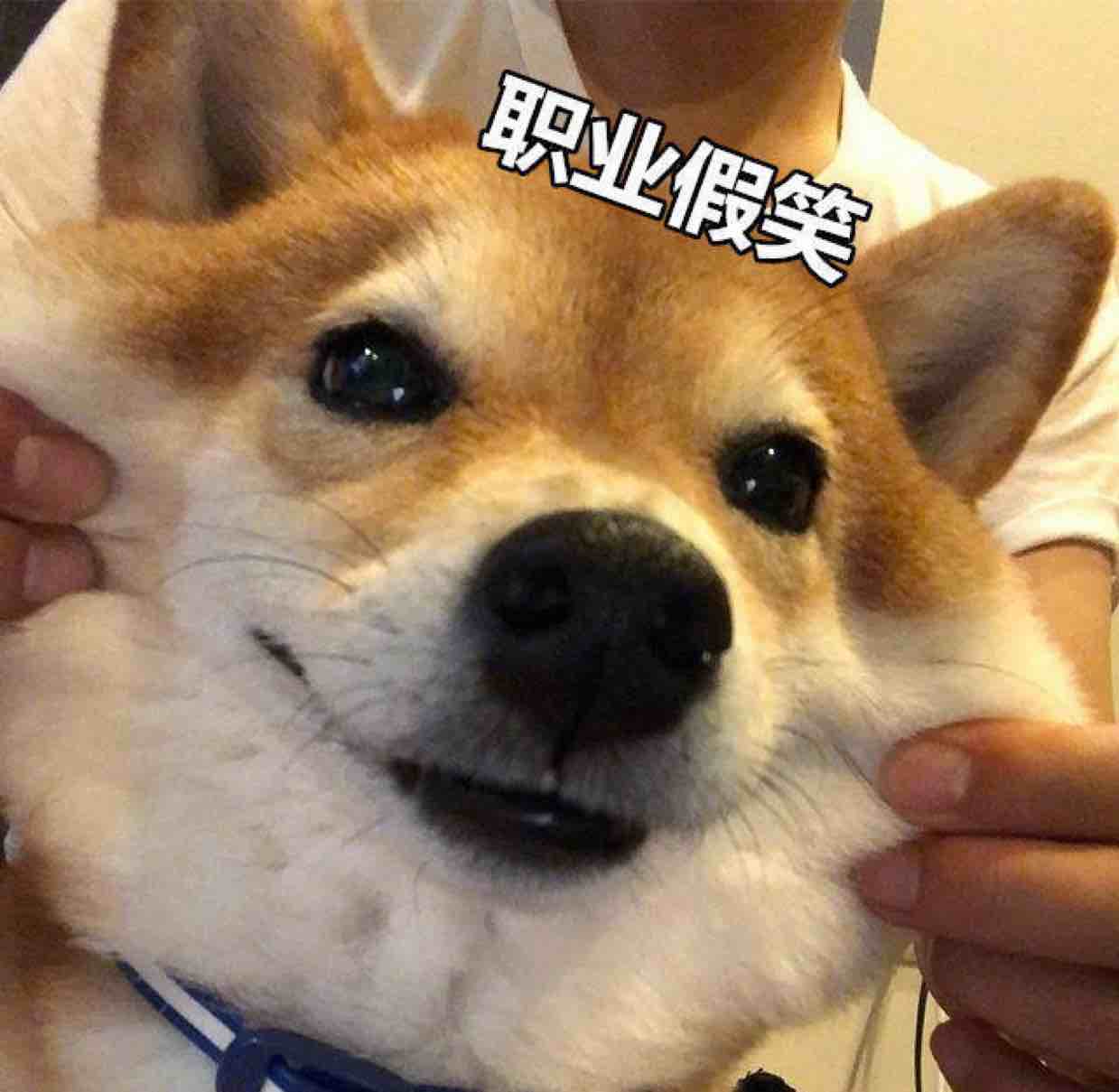 天亮就出发