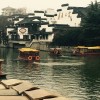 杨木头