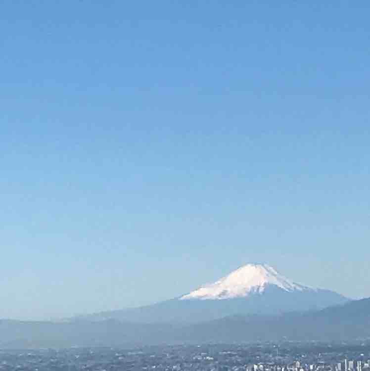 爱叮堡