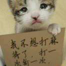 君上