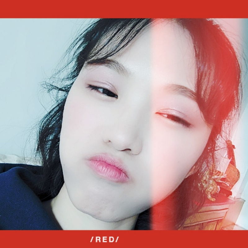 麦苗儿＆y²