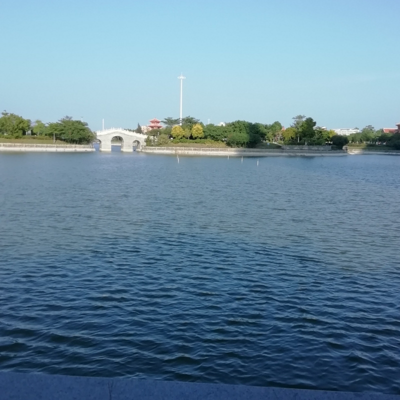 华丽