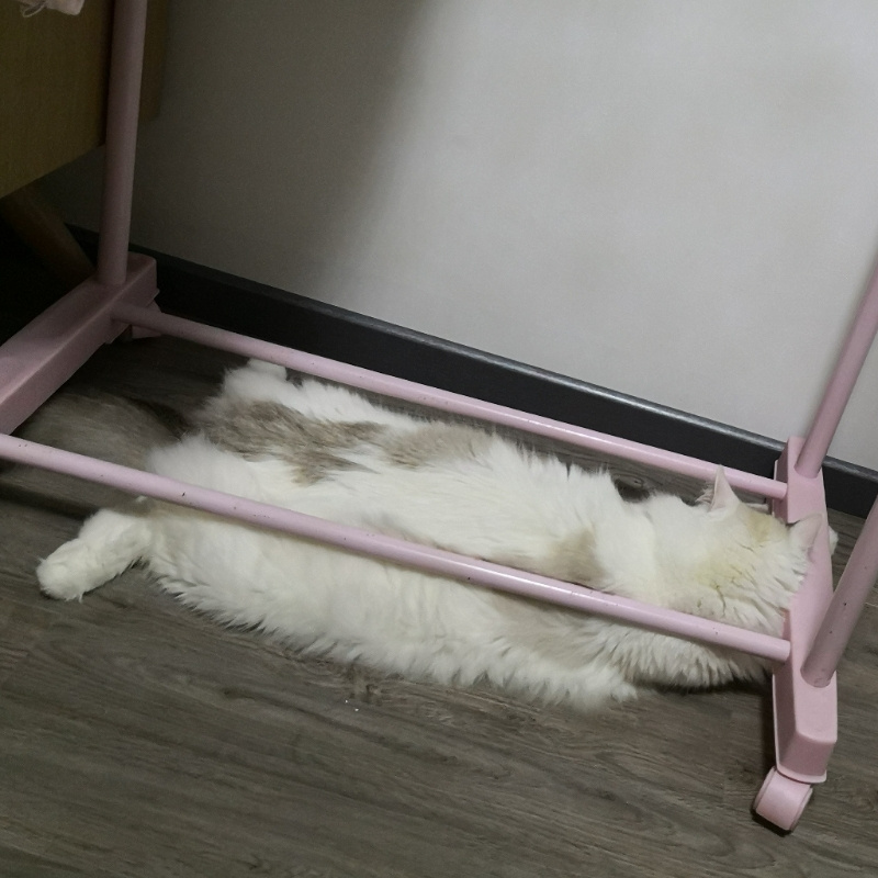 Zz~