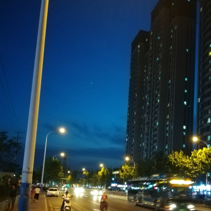 林中斜月